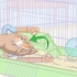 Ensinar truques a um hamster