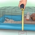 Montando uma gaiola de hamster