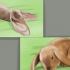 Mantendo um coelho lop como animal de estimação
