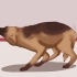 Acalmar um cão