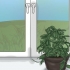 Fazendo uma planta hoya florescer