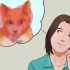 Ter um gato como animal de estimação