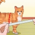 Ensinando um gato a andar na coleira