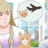 Transportar um gato de avião