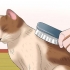 Cuidar de um gato