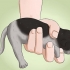 Fazer cocô de gatinho