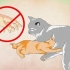 Fazendo um gatinho amar água