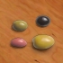 Cultivando uma oliveira de um poço