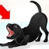 Treinando um labrador travesso