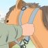 Montando um cavalo