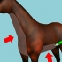 Barbear um cavalo