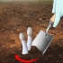 Mate um fungo fedorento