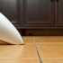 Limpando um piso de cerâmica