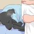 Tratando um cachorro frio