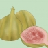 Como cultivar uma figueira em seu jardim