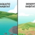 Desenhando uma teia alimentar