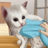 Lave um gatinho órfão