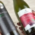Usando uma garrafa de vinho para regar uma planta
