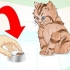 Deixando um gatinho doente comer