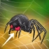 Identificando uma viúva negra