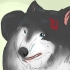 Aproximando-se de um cão vadio