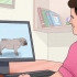 Criação com cães