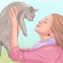 Demonstrando afeto a um gato