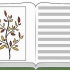 Cultivando plantas saudáveis