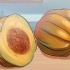 Conservas de legumes da família do pepino