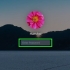 Redefinindo a senha do administrador no mac os x