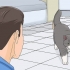 Ganhando a confiança de um gato