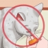 Afastando os gatos