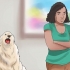 Como fazer os cães pararem de uivar