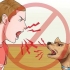 Treinar cães para não latir