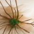Poda de hortênsias