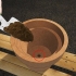Cultivo de jasmim em vaso