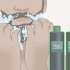 Alinhando a barba