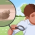 Verificando sua saúde pela cor do cocô e das fezes