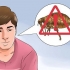 Livrar-se de pulgas em seu animal de estimação