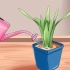 Regar as plantas quando não está em casa