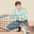Treinando seu shih tzu