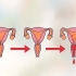 Determine o seu dia mais fértil para engravidar
