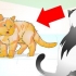 Manejando adequadamente um gato agressivo