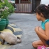 Acariciando gatos nos lugares certos