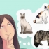 Criação de gatos