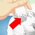 Verificando gatos para ácaros da orelha