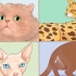 Reconhecer raças de gatos