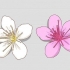 Reconhecer as cerejeiras