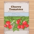 Crescendo tomates cereja