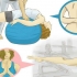Escolhendo entre yoga e pilates